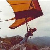 User avatar for Ellis Newkirk