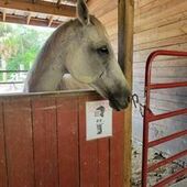 User avatar for Alyssa Rabideau