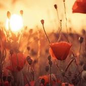 User avatar for Gillian Carter