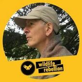 User avatar for Daniel Kronenberg