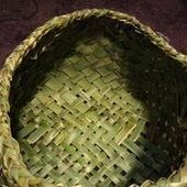 User avatar for Mellisa Elsworth