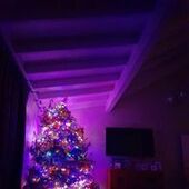 User avatar for Deb Bratton