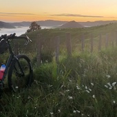 User avatar for Andrew Edis