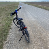 User avatar for Bruce Arnst