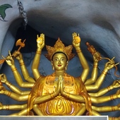 User avatar for Shelby Powell