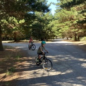 User avatar for Heba Mashhour