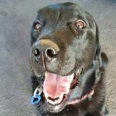 User avatar for Herbie Agnew