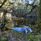 User avatar for Helen White