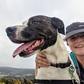 User avatar for Rachel Collingridge