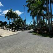 User avatar for Bree Oculus