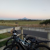 User avatar for Michelle Stratton