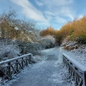 User avatar for Allen Catterall