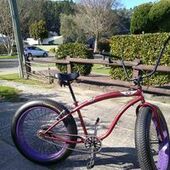 User avatar for Gavin Haydon