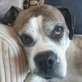 User avatar for Gay Hamilton