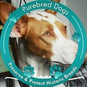 User avatar for Anu Cameron