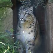 User avatar for Bill Lieschke