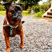 User avatar for Steve Tuck