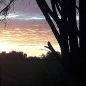 User avatar for Gary Buckland