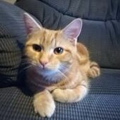 User avatar for Carolyn Blake