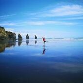 User avatar for Lily Cheng