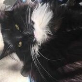 User avatar for Eleanor Ure