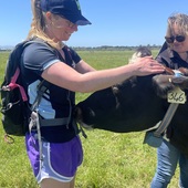 User avatar for Courtney Bosse