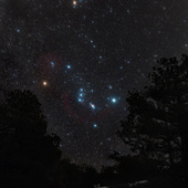 User avatar for Sarah Brotherson