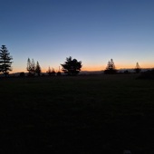 User avatar for Sefton Truuts