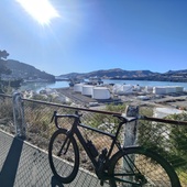 User avatar for Josh Noonan