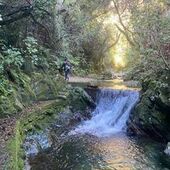 User avatar for Ellen Marie