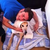 User avatar for David Brinson