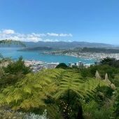 User avatar for Tim Spackman