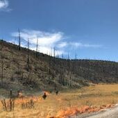 User avatar for Caleb Finch