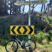 User avatar for Roxanne Ramsay