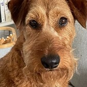 User avatar for Gavin Chittenden