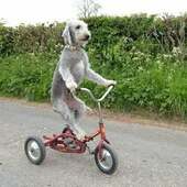 User avatar for Olly Yamaguchi Dowd