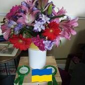 User avatar for Chris Norton