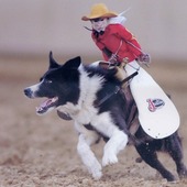 User avatar for Everett Chubbuck