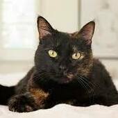 User avatar for Danielle Marasigan