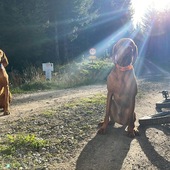 User avatar for Terry Shearstone