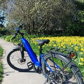 User avatar for Elisabeth Cribb