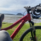 User avatar for Ana Luisa Moreira