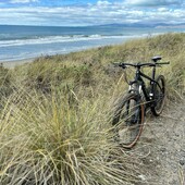 User avatar for Shane Bartlett