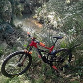 User avatar for Brad Keith