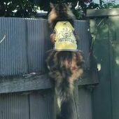 User avatar for Emily Susanne