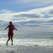 User avatar for Wibke Kreft