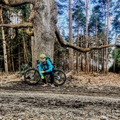 User avatar for Anlouw Botes