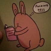 User avatar for Craig Findlay