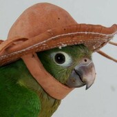 User avatar for Zala Habib