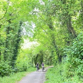 User avatar for Fiona CB